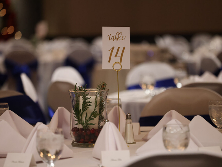 Hawaiian Style Chili Devil's Eye Starfish Color Bead Elephant Pendant Alloy Necklace With Electroplating For Women